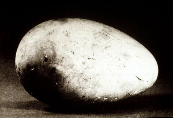 prometheus brancusi